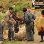 Feria di Guantalo'